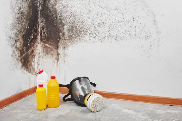 Best Mold Cleaning Services  in Trumbull Center, CT