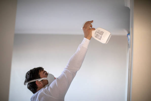 Attic Mold Removal in Trumbull Center, CT