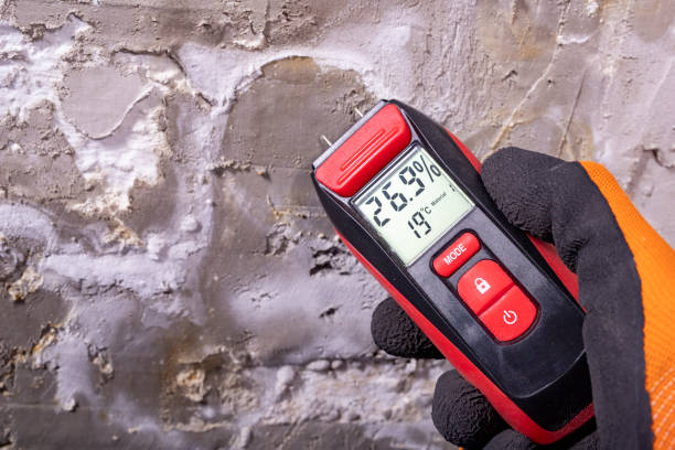 Best Mold Damage Repair  in Trumbull Center, CT