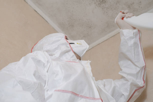 Trumbull Center, CT Mold Removal Company