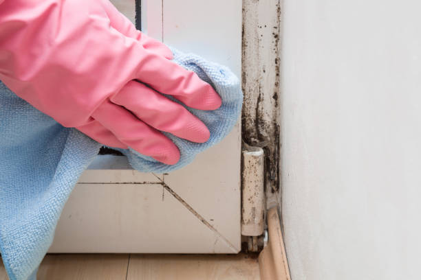 Best Crawl Space Mold Removal  in Trumbull Center, CT
